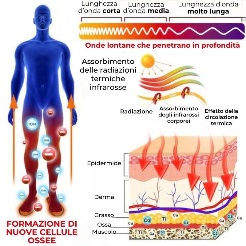 LA-SPEDIZIONE-E-GRATUITA-652-x-546-px-6.jpg